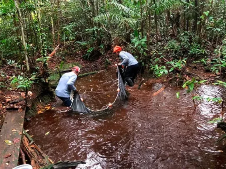 Experiencia monitoreo ambiental1