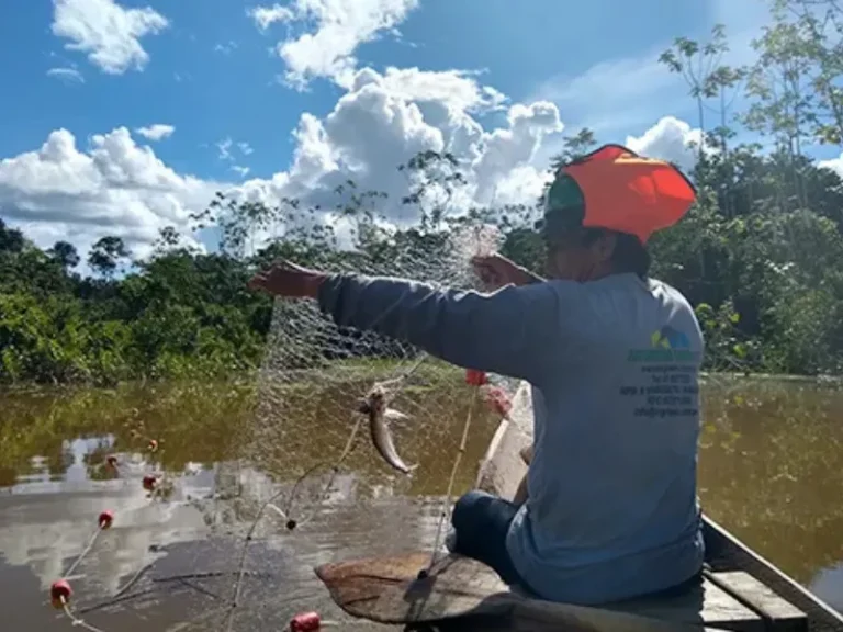 Experiencia monitoreo ambiental2
