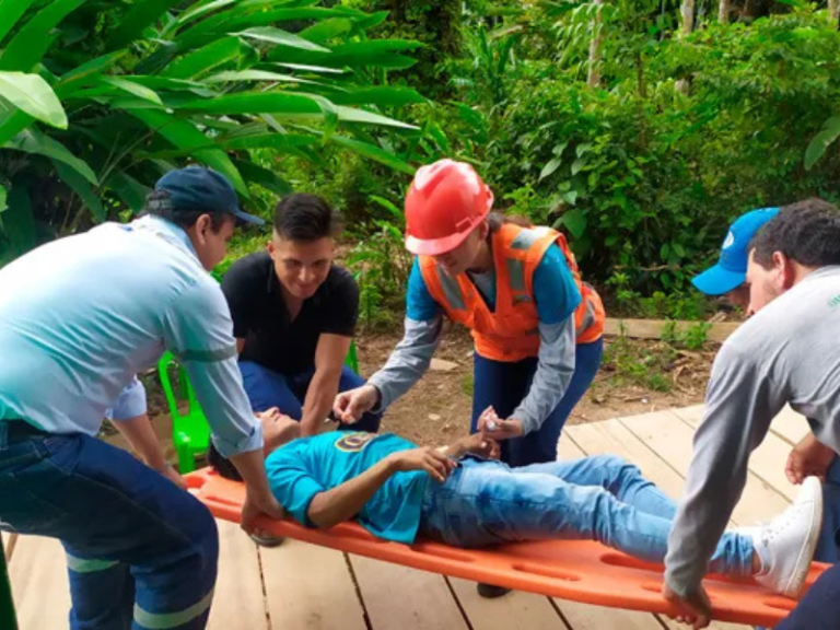 Servicio Instrumentos de gestión ambiental